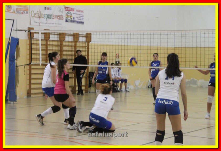140305 Primula 104_tn.jpg